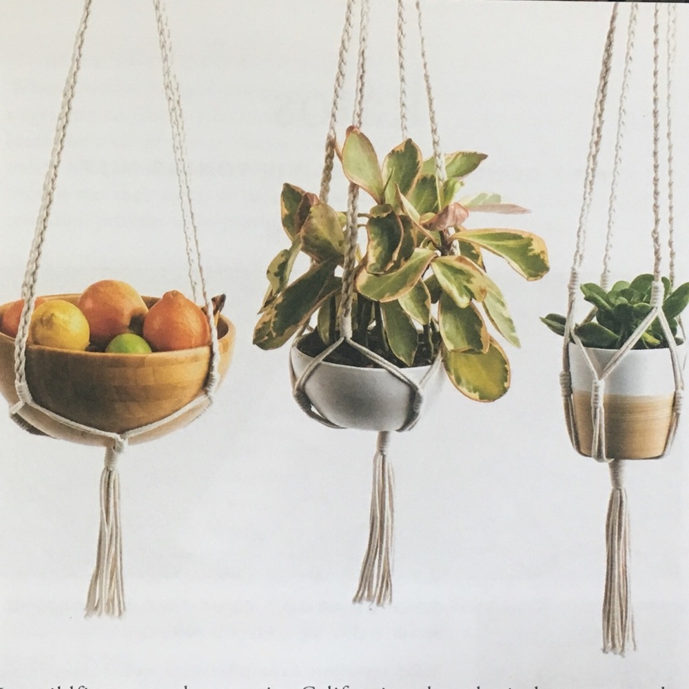 CAUSEBOX Altru Pot and Plant Hanger